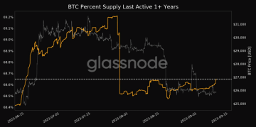 Oranžovou barvou jde vidět, že 68.65% bitcoinů se už více jak rok nehnulo. Zdroj: glassnode