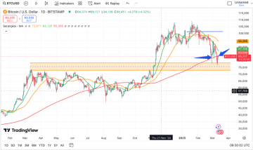 Technická analýza Bitcoinu s klíčovými úrovněmi supportu a rezistence kolem 80 000 a 100 000 USD